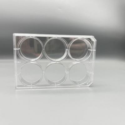 6 Well Cell Culture Plate