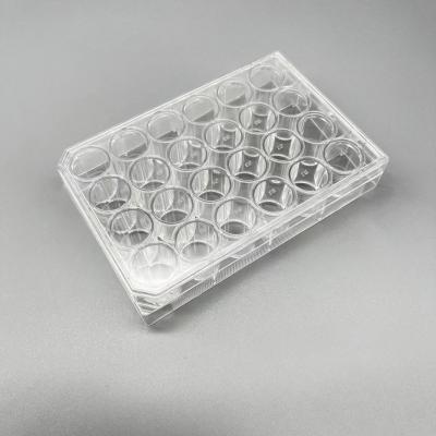 24 Well Cell Culture Plate