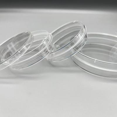 150mm Petri Dishes