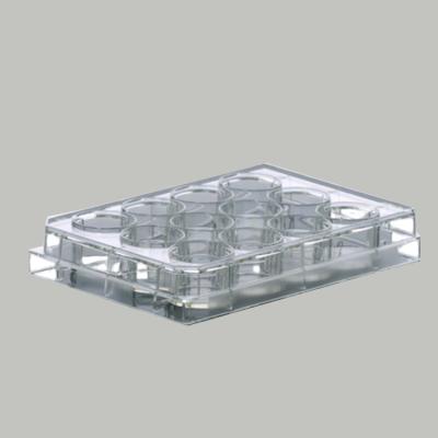 12 Well Cell Culture Plate 