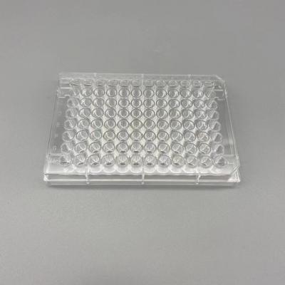 96 Elisa Plate - Clear