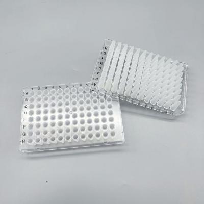 Dual Component 96Well PCR Plate Clear