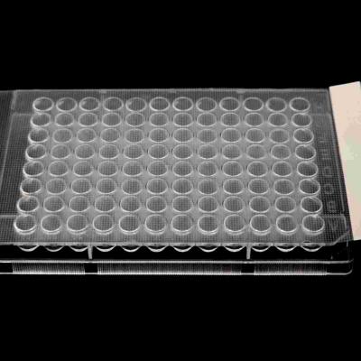 Sterilized-High-Permeable Sealing Film