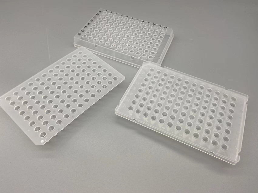 different skirt pcr plate.jpg