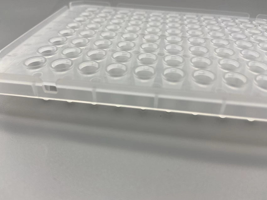 raised edge around the hole pcr plate.jpg