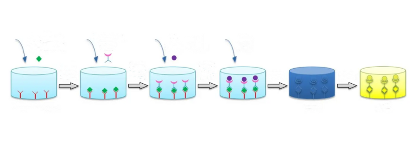 Elisa Testing .png